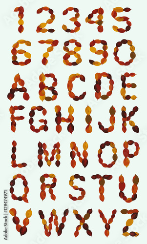 Vector autumn color leaves alphabet  and digits