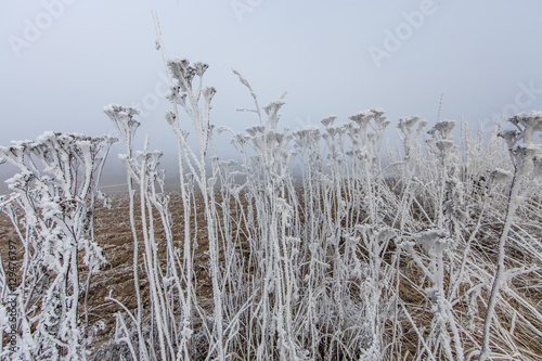 frosttag photo