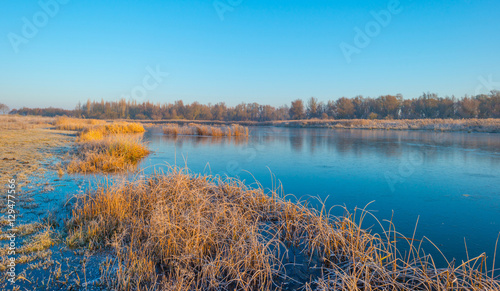 Shore of a frozen lake in sunlight in winter