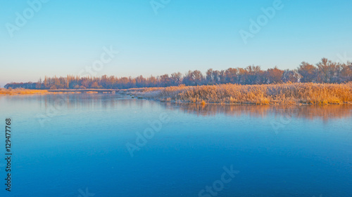 Shore of a frozen lake in sunlight in winter