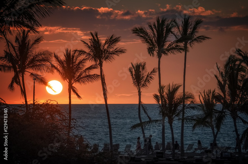 Hawaiian sunset with palm tree silhouettes and red sky