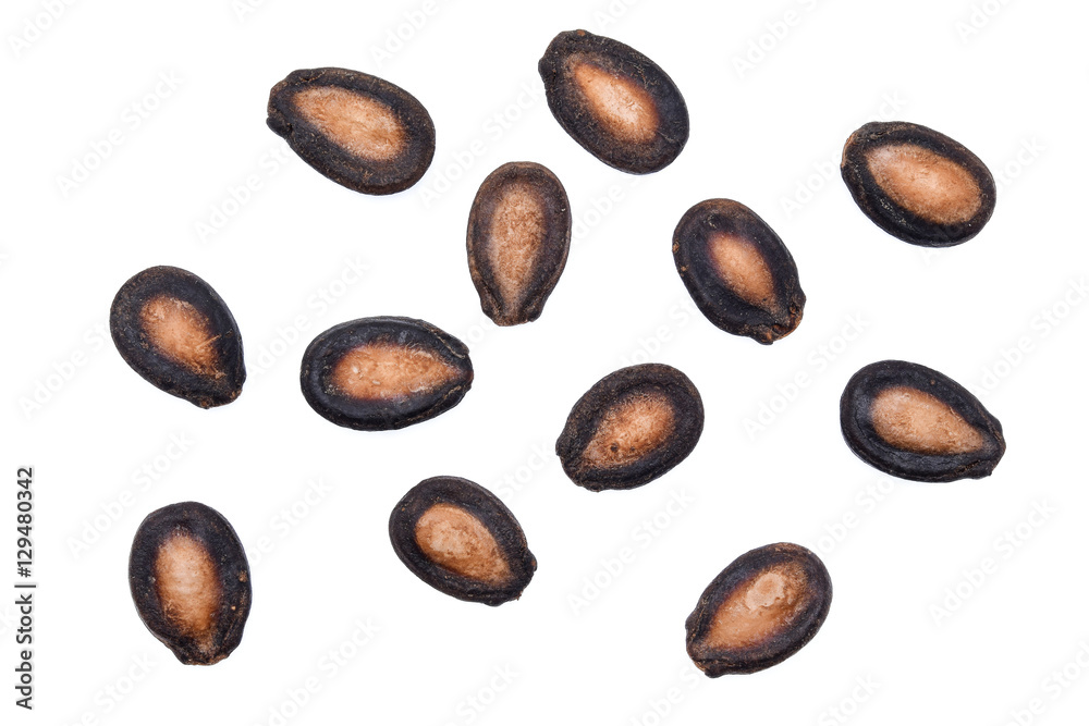 custom made wallpaper toronto digitalTop view of watermelon seeds on white background