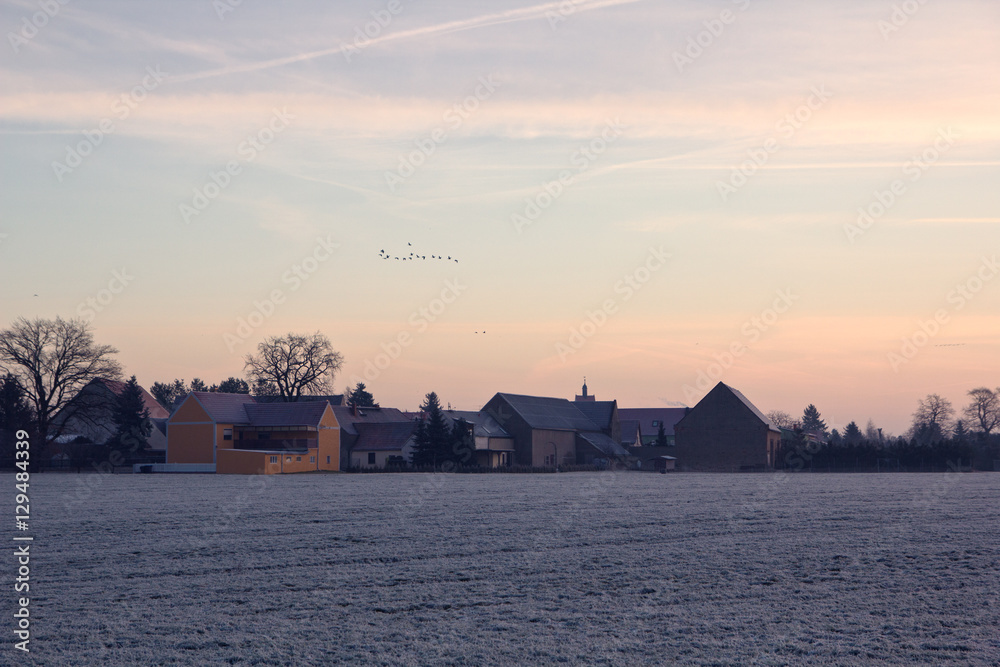 Dorf, Landschaft, im Winter, Dorflandschaft, mit Gänsen