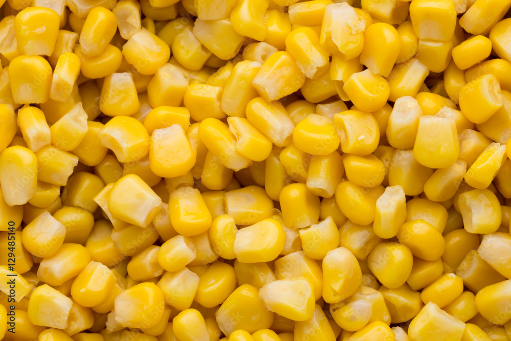 Bulk of yellow corn grains texture. Bulk of yellow corn grains texture.