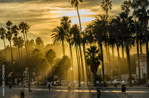 Quadro em tela Palm tree silhouettes at hazy golden Santa Barbara sunset