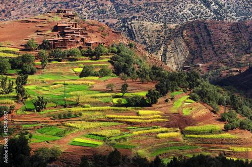 Moroccan village in the Atlas mountains, Morocco, Africa photo