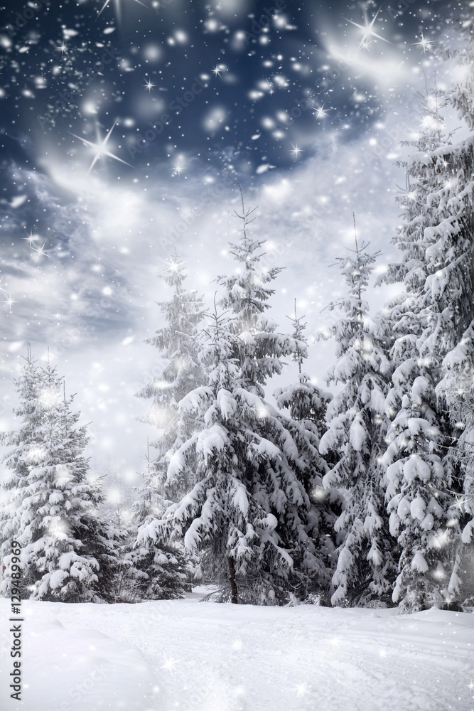 Naklejka premium Christmas background with snowy fir trees
