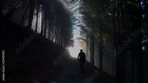 Cyclist in the woods with suntays. Slovakia