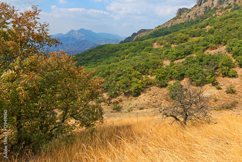 Autumn forest in mountains of Crimea. photo