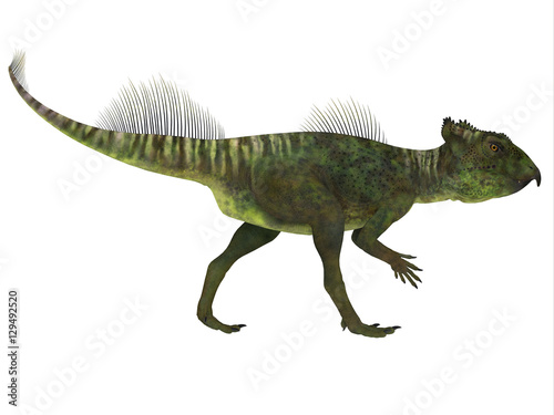 Archaeoceratops Dinosaur Side Profile - Archaeoceratops was a Ceratopsian herbivorous dinosaur that lived in China in the Cretaceous Period.