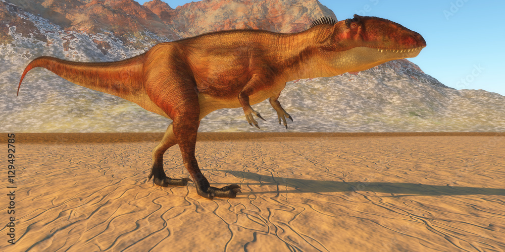 Carcharodontosaurus Out Hunting Carcharodontosaurus was a carnivorous