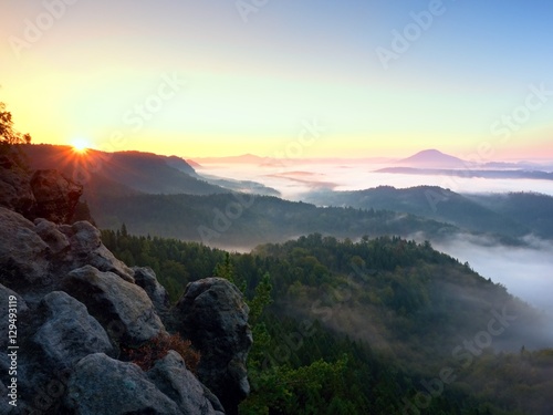 Autumn sunrise forest   fall colorful valley full of dense mist