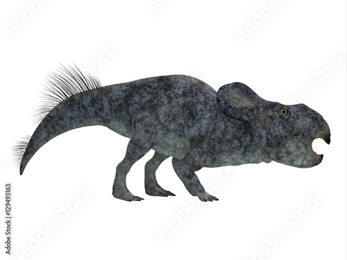 Protoceratops Dinosaur Side Profile - Protoceratops was a herbivorous Ceratopsian dinosaur that lived in Mongolia in the Cretaceous Period. photo