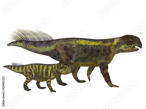 Psittacosaurus Dinosaur with Juvenile - Psittacosaurus was a Ceratopsian herbivorous dinosaur that lived in Asia in the Cretaceous Period.  © Catmando