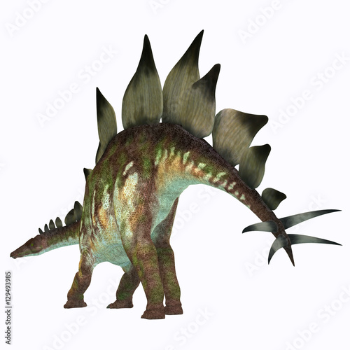 Stegosaurus Dinosaur Tail - Stegosaurus was an armored herbivorous dinosaur that lived in North America during the Jurassic Period. © Catmando