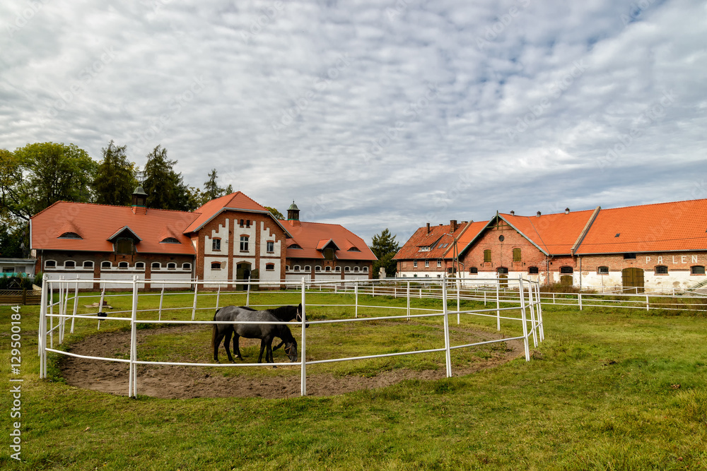 Gestüt in Ostpreußen Gestüt in Ostpreußen