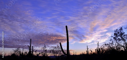 Amazing Sunset in the Desert Southwest.
