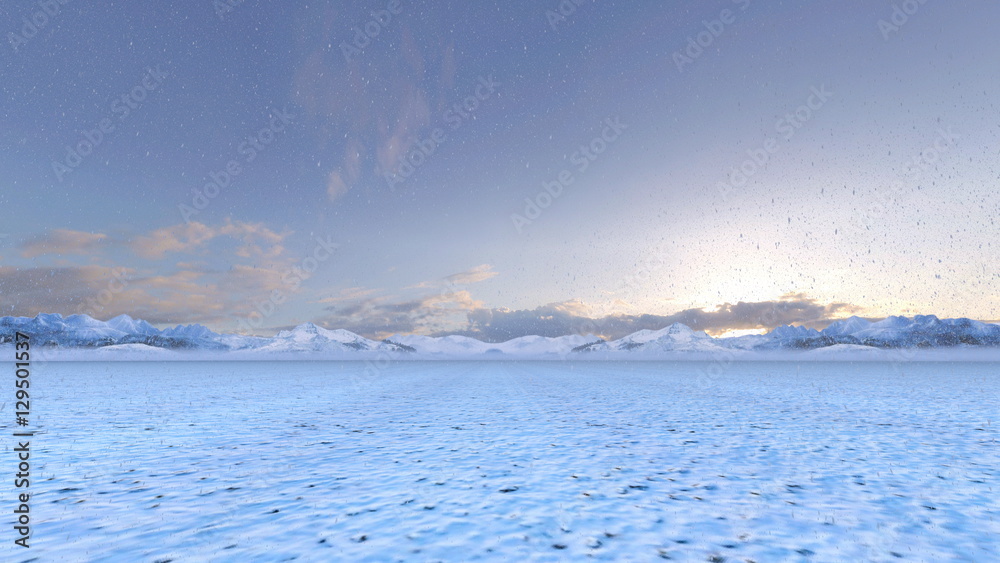 Fototapeta premium 雪原