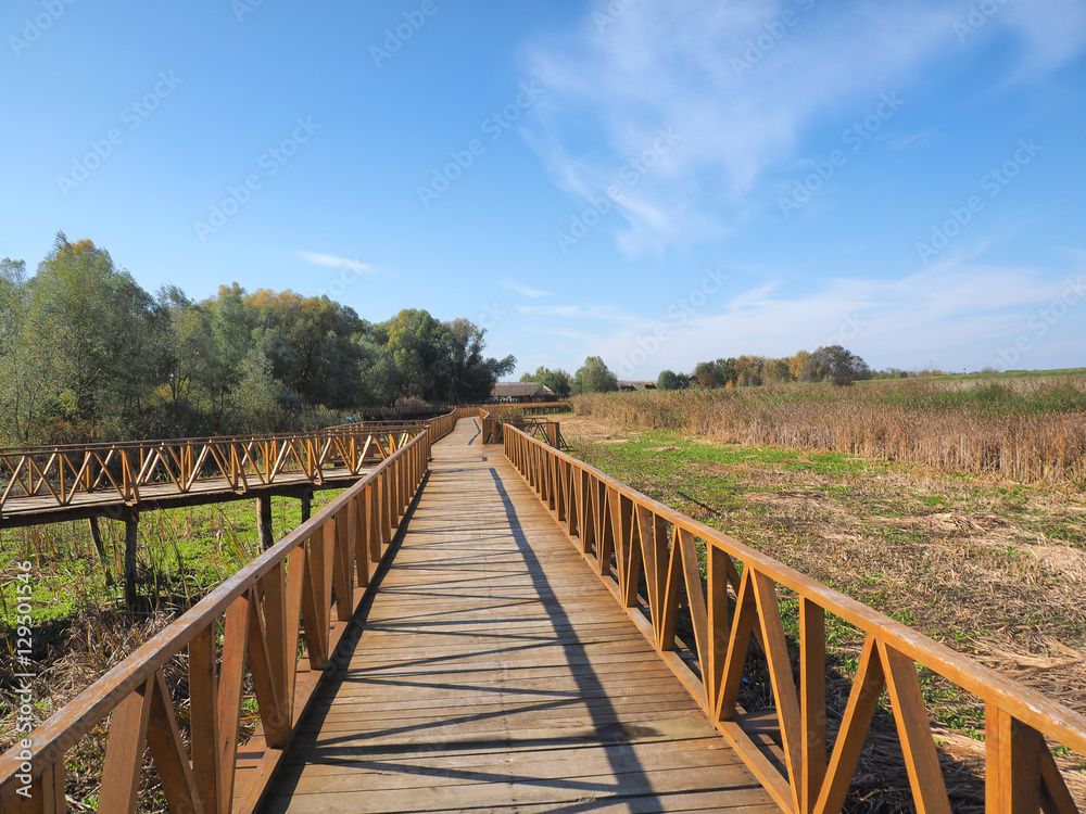 wooden bridge in Kopacvo Baranja