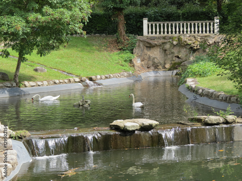Naklejka premium Pyrénées orientales - Vernet-Les-Bains - Le Parc et ses cygnes