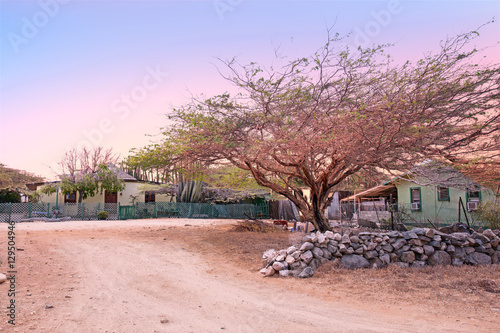 Traditional arubean houses in the cunucu on Aruba island in the photo