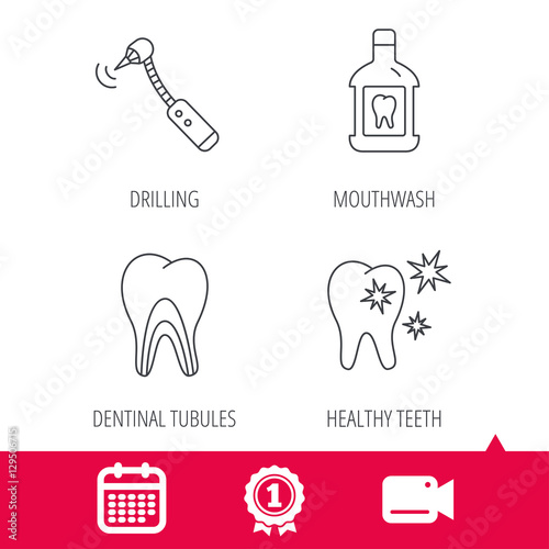 Achievement and video cam signs. Tooth, mouthwash and dentinal tubules icons. Healthy teeth, dentinal tubules linear sign. Calendar icon. Vector