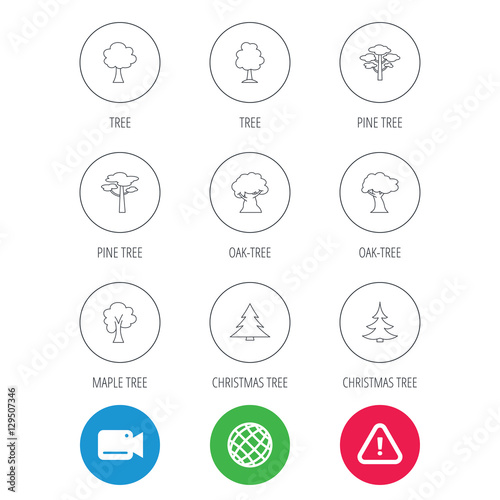 Pine tree, maple and oak icons. Christmas trees linear signs. Forest trees flat line icons. Video cam, hazard attention and internet globe icons. Vector