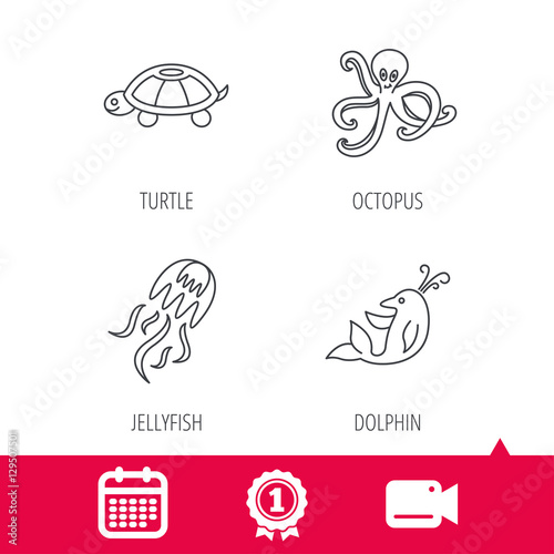 Achievement and video cam signs. Octopus  turtle and dolphin icons. Jellyfish linear sign. Calendar icon. Vector