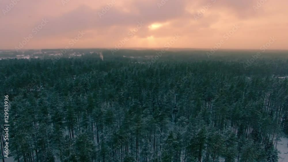 Aerial flight over winter forest in Karelia Aerial flight over winter forest in Karelia