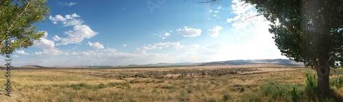 Nevada Panorama