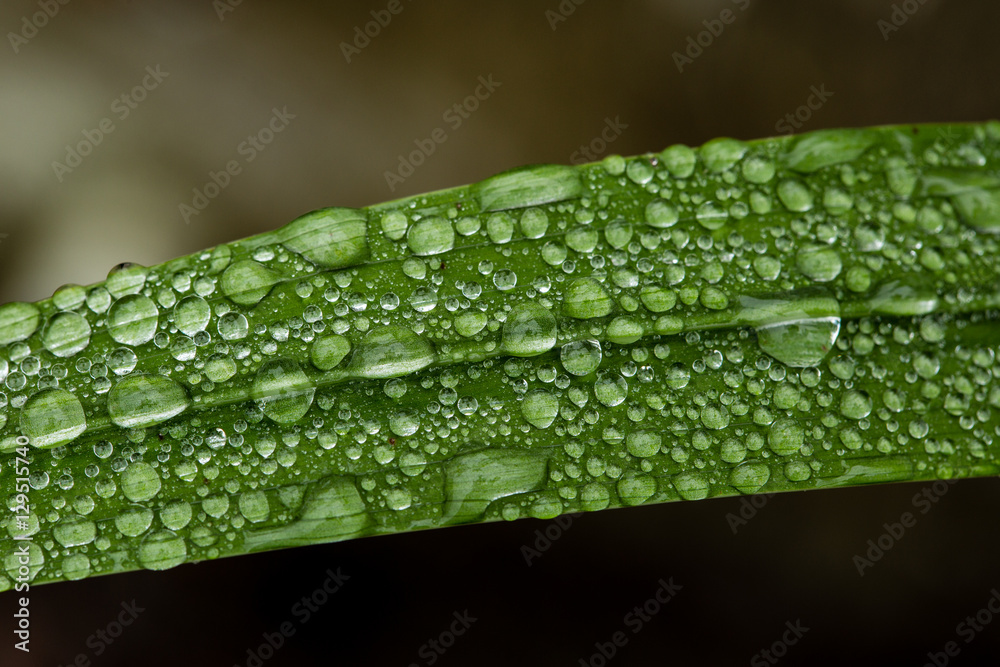 Macro Macro