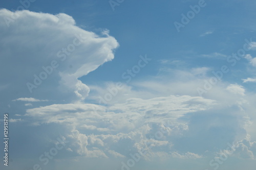 Fototapeta Naklejka Na Ścianę i Meble -  Billowing Clouds
