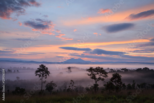 Misty morning sunrise at Thung Salang Luang National Park Phetch