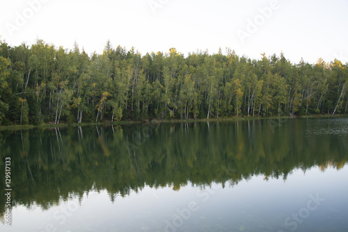 Forest lake smooth as a mirror of water.