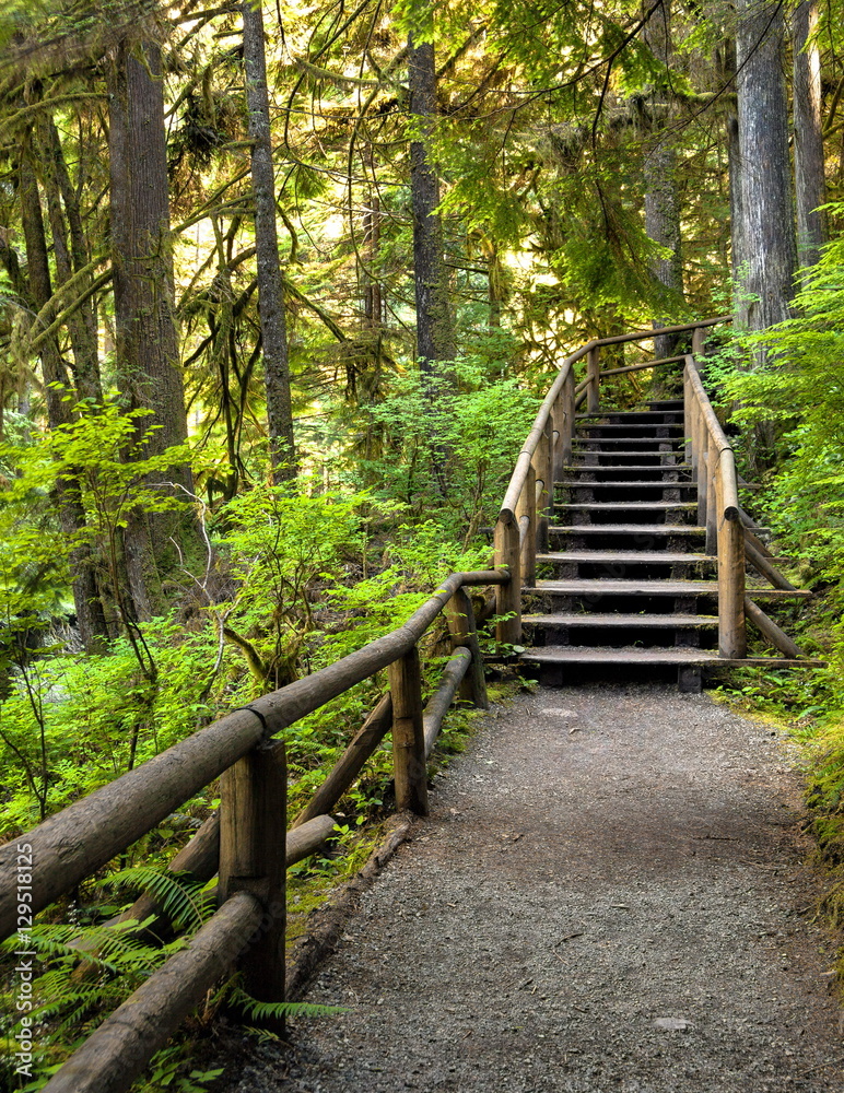 Wooden staircase on a pedestrian trail in the Capilano River Park Wooden staircase on a pedestrian trail in the Capilano River Park