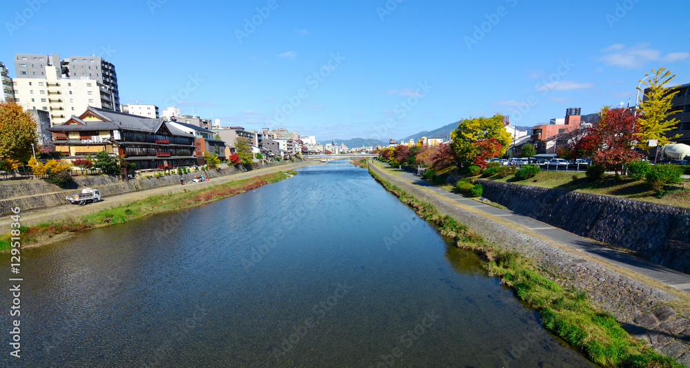 Autumn colors along the beautiful Kamo River in the city center of Kyoto, Japan