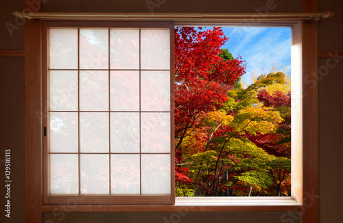 Forest of fall colors seen through an open Japanese sliding window in autumn