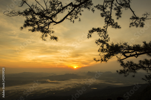 Mountain with mist at sunrise, Phu Kradueng national park ,Loei Thailand.