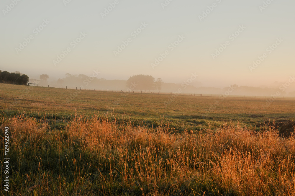 Misty morning Misty morning
