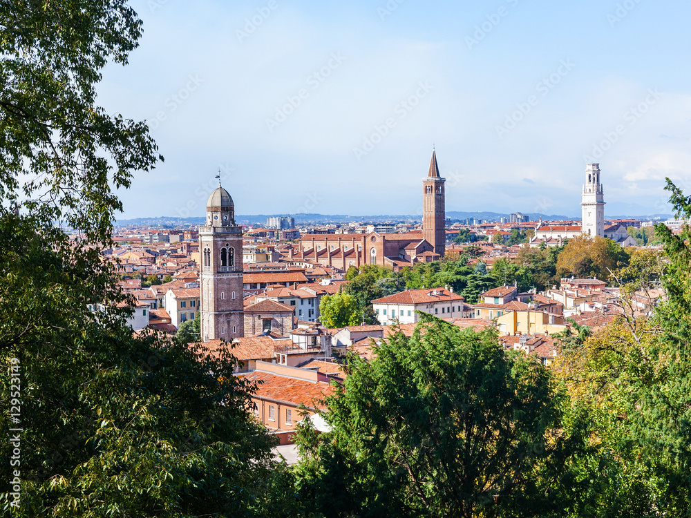 view of Verona old town between green trees