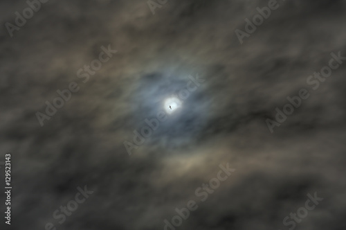 Partial solar eclipse with bird silhouette