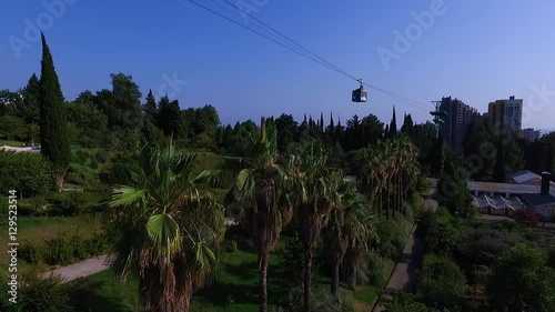 Aerial: Funicular in Sochi arboretum. Sea view. photo