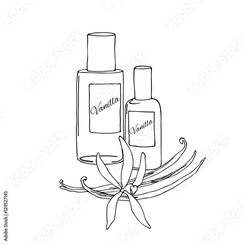 vanilla flower pods and bottle of  extract vector monochrome illustration