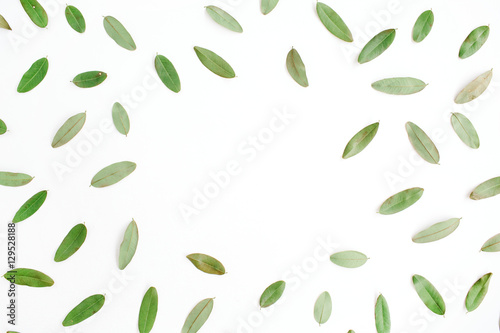 frame with green petals isolated on white background. flat lay, top view