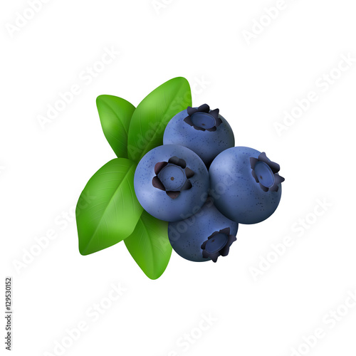 Blueberry with leaves  isolated on white background