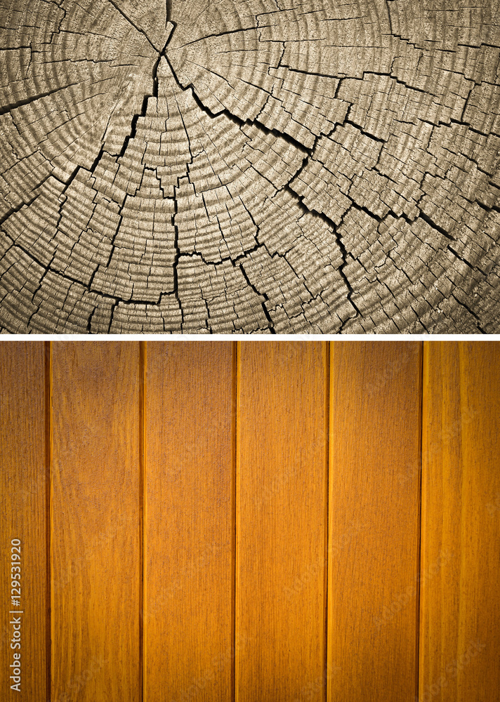 Fototapeta premium Wood texture. Lining boards wall. Wooden background. pattern. Showing growth rings. set