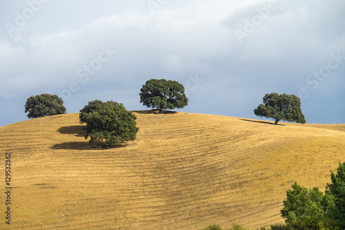 Andalusien - Sierra de Grazalema photo