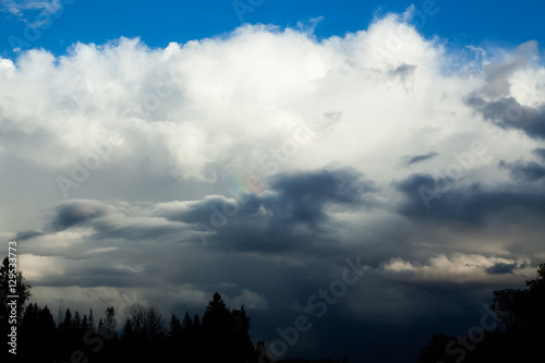 Cloudy sky is over the forest