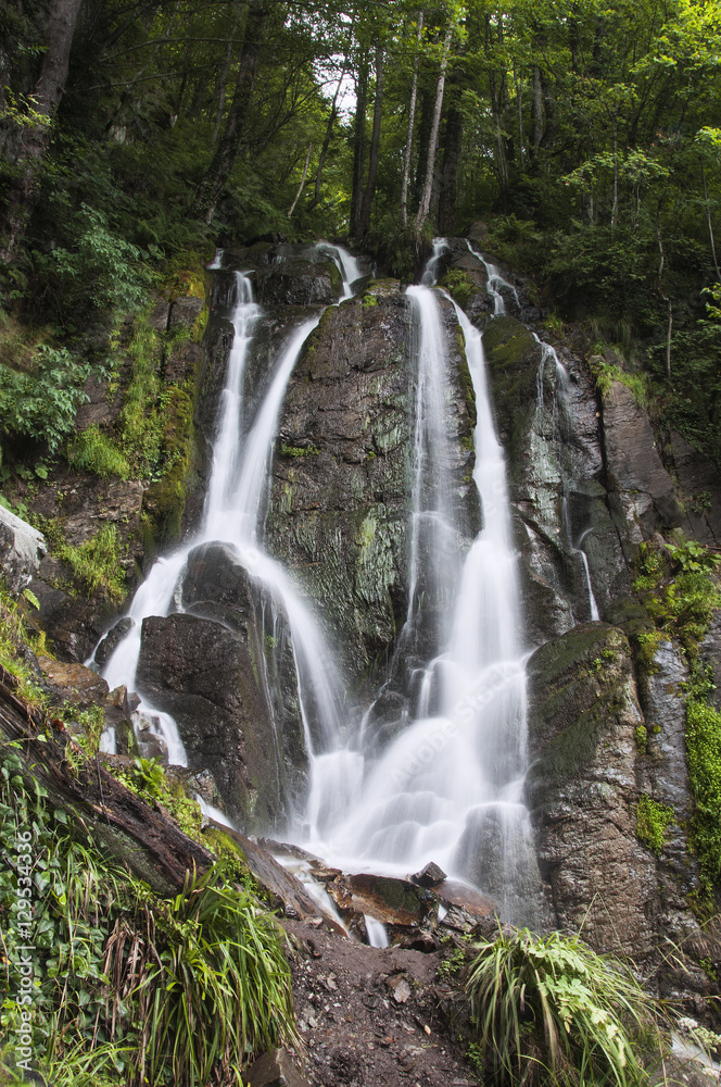 Fototapeta premium Beautiful waterfall in a mountain forest