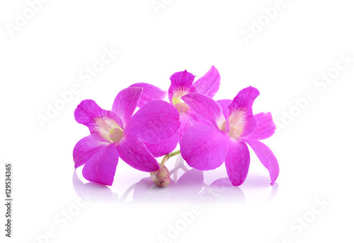  pink orchid phalaenopsis. Bouquet of flowers orchids.